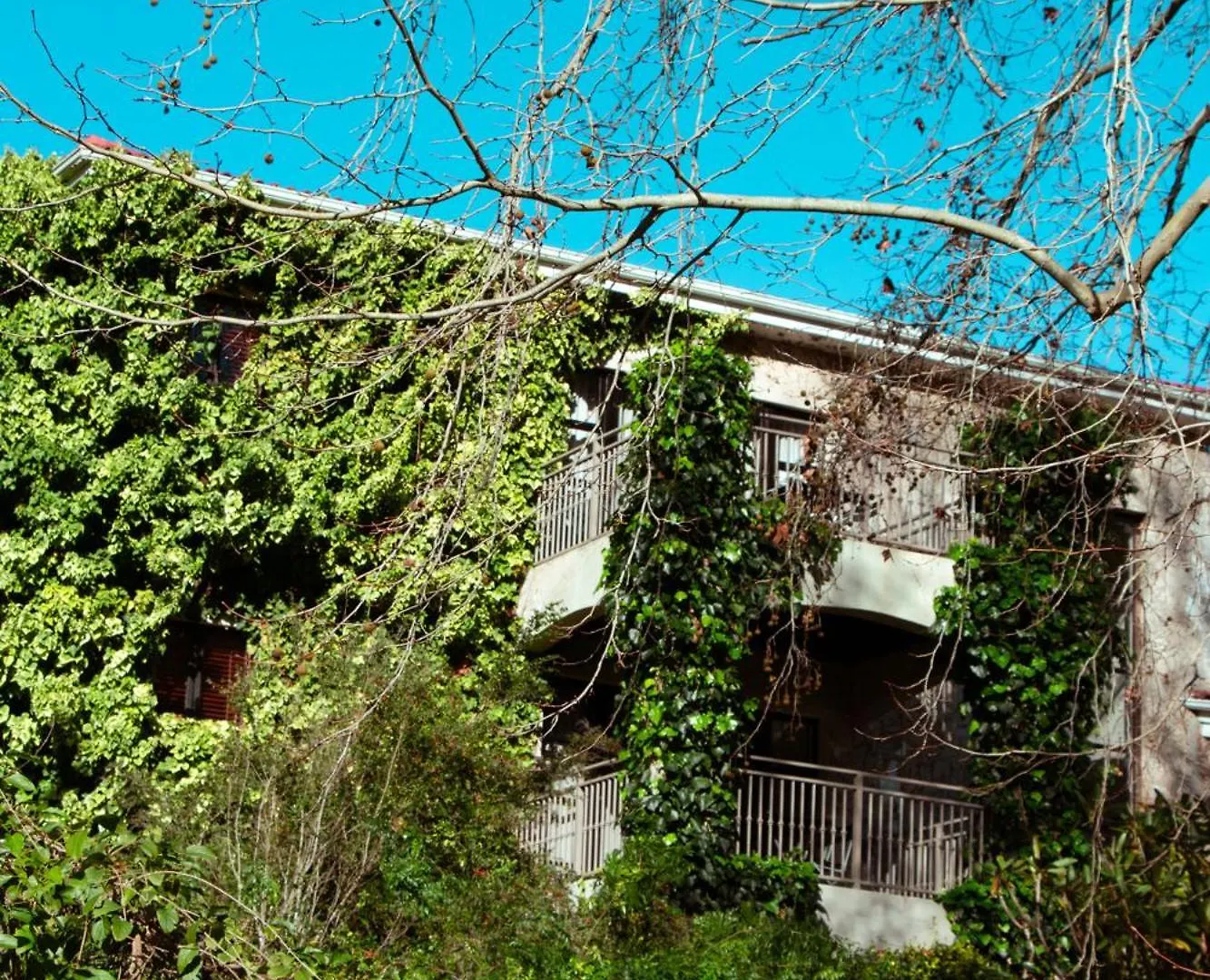 Southern Light Country House Cape Town 4*,